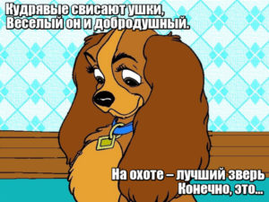 Кудрявые свисают ушки, Веселый он и добродушный. На охоте – лучший зверь Конечно, это… Спаниэль.
