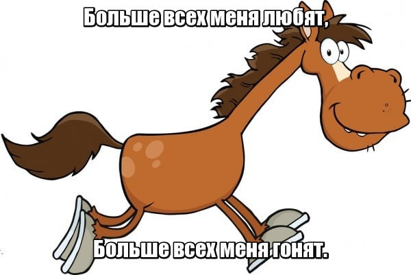 Больше всех меня любят, Больше всех меня гонят. Лошадь