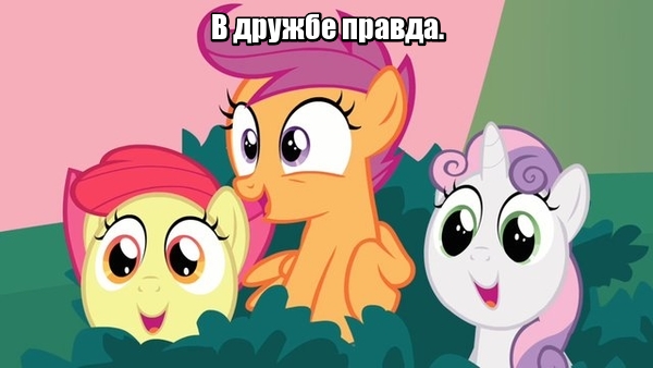 В дружбе правда.